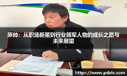 原帅：从职场新星到行业领军人物的成长之路与未来展望